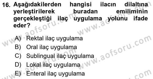 Yaşlı Bakımı İlke Ve Uygulamaları Dersi 2021 - 2022 Yılı (Final) Dönem Sonu Sınav Soruları 16. Soru