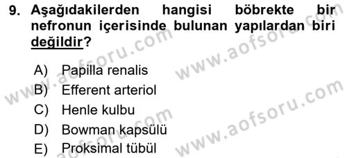 Yaşlı Bakımı İlke Ve Uygulamaları Dersi 2021 - 2022 Yılı (Final) Dönem Sonu Sınav Soruları 9. Soru