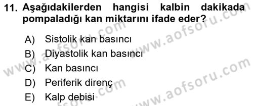 Yaşlı Bakımı İlke Ve Uygulamaları Dersi 2021 - 2022 Yılı Yaz Okulu Sınav Soruları 11. Soru