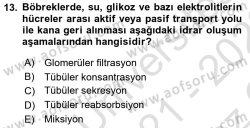 Yaşlı Bakımı İlke Ve Uygulamaları Dersi 2021 - 2022 Yılı Yaz Okulu Sınav Soruları 13. Soru
