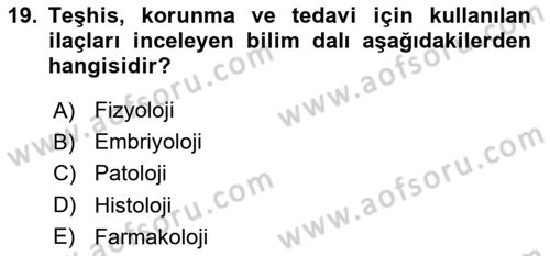Yaşlı Bakımı İlke Ve Uygulamaları Dersi 2021 - 2022 Yılı Yaz Okulu Sınav Soruları 19. Soru