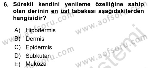 Yaşlı Bakımı İlke Ve Uygulamaları Dersi 2021 - 2022 Yılı Yaz Okulu Sınav Soruları 6. Soru