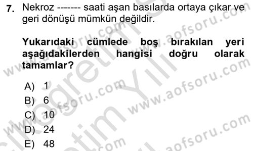 Yaşlı Bakımı İlke Ve Uygulamaları Dersi 2021 - 2022 Yılı Yaz Okulu Sınav Soruları 7. Soru