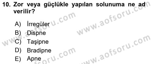 Yaşlı Bakımı İlke Ve Uygulamaları Dersi 2022 - 2023 Yılı Yaz Okulu Sınav Soruları 10. Soru