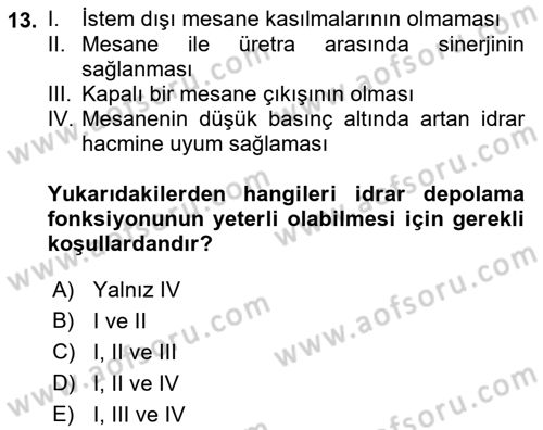 Yaşlı Bakımı İlke Ve Uygulamaları Dersi 2022 - 2023 Yılı Yaz Okulu Sınav Soruları 13. Soru