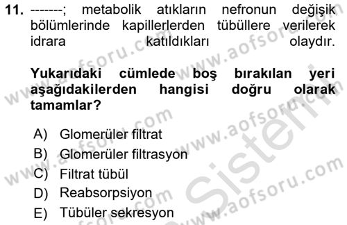 Yaşlı Bakımı İlke Ve Uygulamaları Dersi 2023 - 2024 Yılı (Final) Dönem Sonu Sınav Soruları 11. Soru