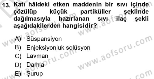 Yaşlı Bakımı İlke Ve Uygulamaları Dersi 2023 - 2024 Yılı (Final) Dönem Sonu Sınav Soruları 13. Soru