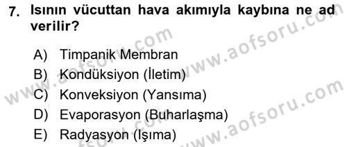 Yaşlı Bakımı İlke Ve Uygulamaları Dersi 2023 - 2024 Yılı (Final) Dönem Sonu Sınav Soruları 7. Soru