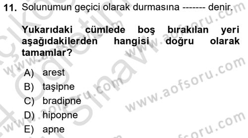 Yaşlı Bakımı İlke Ve Uygulamaları Dersi 2023 - 2024 Yılı Yaz Okulu Sınav Soruları 11. Soru