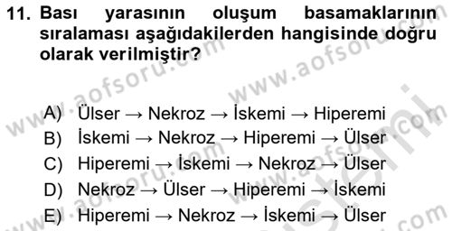 Yaşlı Bakımı İlke Ve Uygulamaları Dersi 2024 - 2025 Yılı (Vize) Ara Sınav Soruları 11. Soru