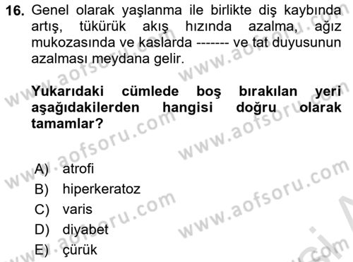 Yaşlı Bakımı İlke Ve Uygulamaları Dersi 2024 - 2025 Yılı (Vize) Ara Sınav Soruları 16. Soru