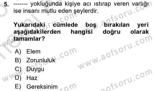 Yaşlı Bakımı İlke Ve Uygulamaları Dersi 2024 - 2025 Yılı (Vize) Ara Sınav Soruları 5. Soru