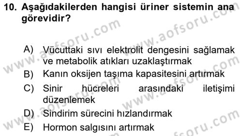 Yaşlı Bakımı İlke Ve Uygulamaları Dersi 2024 - 2025 Yılı (Final) Dönem Sonu Sınav Soruları 10. Soru