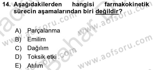 Yaşlı Bakımı İlke Ve Uygulamaları Dersi 2024 - 2025 Yılı (Final) Dönem Sonu Sınav Soruları 14. Soru