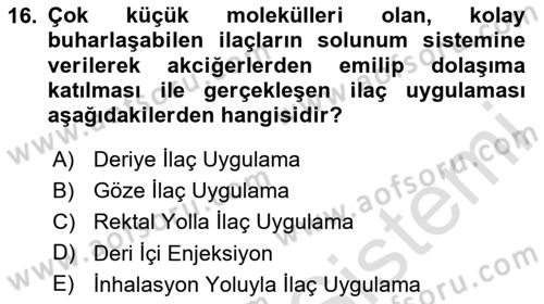 Yaşlı Bakımı İlke Ve Uygulamaları Dersi 2024 - 2025 Yılı (Final) Dönem Sonu Sınav Soruları 16. Soru