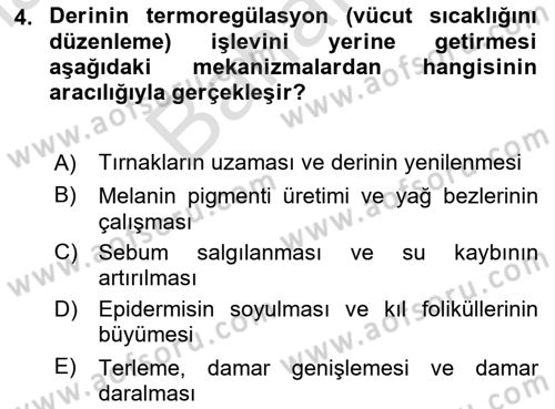 Yaşlı Bakımı İlke Ve Uygulamaları Dersi 2024 - 2025 Yılı (Final) Dönem Sonu Sınav Soruları 4. Soru