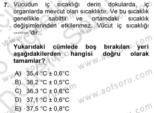 Yaşlı Bakımı İlke Ve Uygulamaları Dersi 2024 - 2025 Yılı (Final) Dönem Sonu Sınav Soruları 7. Soru