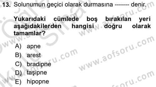 Yaşlı Bakımı İlke Ve Uygulamaları Dersi 2024 - 2025 Yılı Yaz Okulu Sınav Soruları 13. Soru