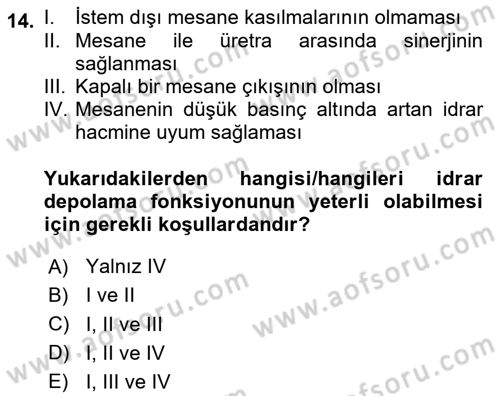 Yaşlı Bakımı İlke Ve Uygulamaları Dersi 2024 - 2025 Yılı Yaz Okulu Sınav Soruları 14. Soru