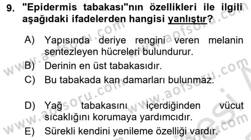 Yaşlı Bakımı İlke Ve Uygulamaları Dersi 2024 - 2025 Yılı Yaz Okulu Sınav Soruları 9. Soru