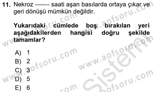 Yaşlı Bakımı İlke Ve Uygulamaları Dersi 2025 - 2026 Yılı (Vize) Ara Sınav Soruları 11. Soru