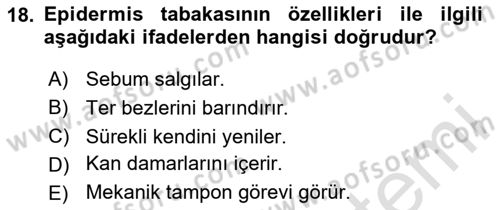 Yaşlı Bakımı İlke Ve Uygulamaları Dersi 2025 - 2026 Yılı (Vize) Ara Sınav Soruları 18. Soru