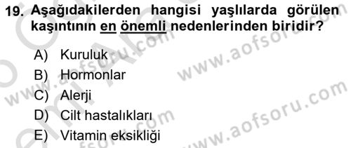Yaşlı Bakımı İlke Ve Uygulamaları Dersi 2025 - 2026 Yılı (Vize) Ara Sınav Soruları 19. Soru