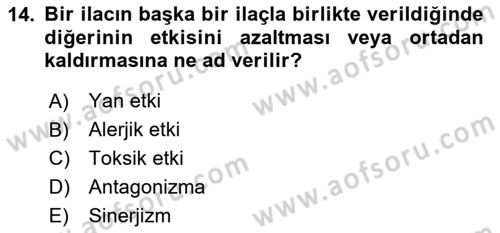 Yaşlı Bakımı İlke Ve Uygulamaları Dersi 2025 - 2026 Yılı (Final) Dönem Sonu Sınav Soruları 14. Soru