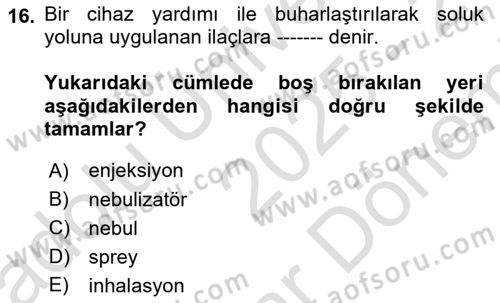 Yaşlı Bakımı İlke Ve Uygulamaları Dersi 2025 - 2026 Yılı (Final) Dönem Sonu Sınav Soruları 16. Soru