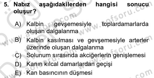 Yaşlı Bakımı İlke Ve Uygulamaları Dersi 2025 - 2026 Yılı (Final) Dönem Sonu Sınav Soruları 5. Soru