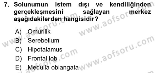 Yaşlı Bakımı İlke Ve Uygulamaları Dersi 2025 - 2026 Yılı (Final) Dönem Sonu Sınav Soruları 7. Soru