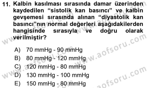 Bakım Elemanı Yetiştirme Ve Geliştirme 3 Dersi 2016 - 2017 Yılı (Vize) Ara Sınavı 11. Soru