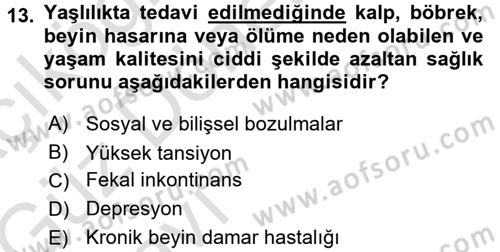 Bakım Elemanı Yetiştirme Ve Geliştirme 3 Dersi 2016 - 2017 Yılı (Vize) Ara Sınavı 13. Soru