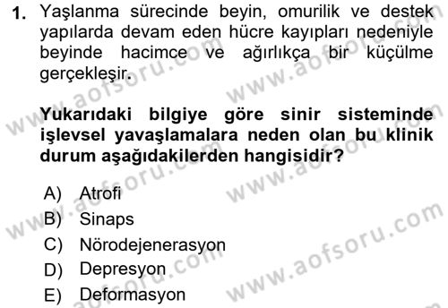 Bakım Elemanı Yetiştirme Ve Geliştirme 3 Dersi 2017 - 2018 Yılı 3 Ders Sınavı 1. Soru