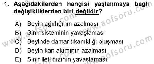Bakım Elemanı Yetiştirme Ve Geliştirme 3 Dersi 2017 - 2018 Yılı (Vize) Ara Sınav Soruları 1. Soru