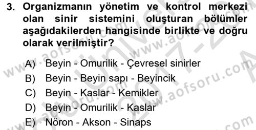 Bakım Elemanı Yetiştirme Ve Geliştirme 3 Dersi 2017 - 2018 Yılı (Vize) Ara Sınavı 3. Soru