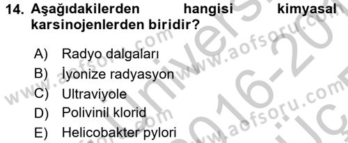 Evde Yaşlı Bakım Hizmetleri Dersi 2016 - 2017 Yılı 3 Ders Sınav Soruları 14. Soru
