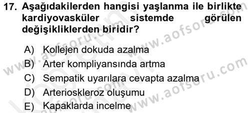 Evde Yaşlı Bakım Hizmetleri Dersi 2017 - 2018 Yılı 3 Ders Sınav Soruları 17. Soru