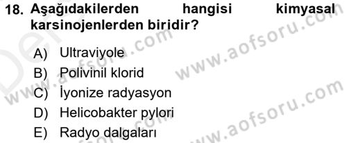 Evde Yaşlı Bakım Hizmetleri Dersi 2017 - 2018 Yılı 3 Ders Sınav Soruları 18. Soru