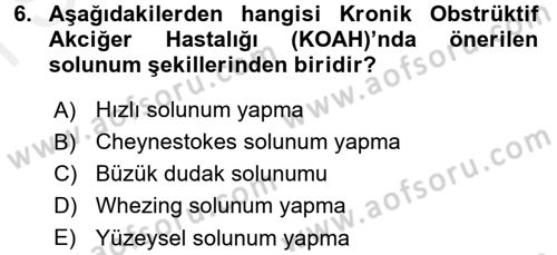Evde Yaşlı Bakım Hizmetleri Dersi 2017 - 2018 Yılı (Final) Dönem Sonu Sınav Soruları 6. Soru