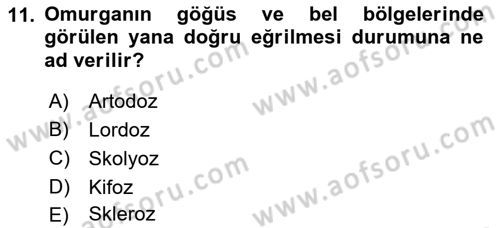 Evde Yaşlı Bakım Hizmetleri Dersi 2018 - 2019 Yılı 3 Ders Sınavı 11. Soru