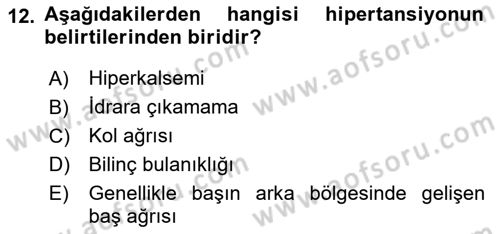 Evde Yaşlı Bakım Hizmetleri Dersi 2018 - 2019 Yılı 3 Ders Sınavı 12. Soru