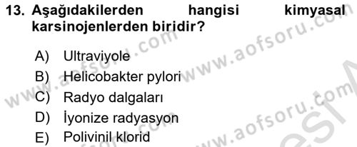 Evde Yaşlı Bakım Hizmetleri Dersi 2018 - 2019 Yılı 3 Ders Sınavı 13. Soru