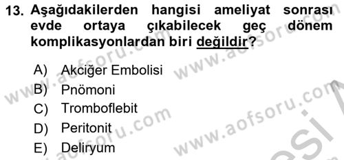 Evde Yaşlı Bakım Hizmetleri Dersi 2018 - 2019 Yılı Yaz Okulu Sınav Soruları 13. Soru