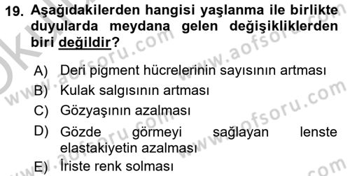 Evde Yaşlı Bakım Hizmetleri Dersi 2018 - 2019 Yılı Yaz Okulu Sınav Soruları 19. Soru
