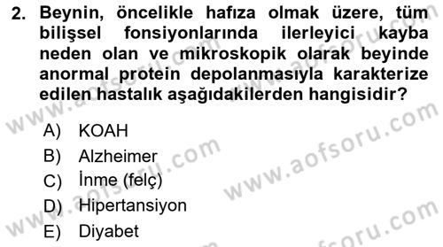 Evde Yaşlı Bakım Hizmetleri Dersi 2018 - 2019 Yılı Yaz Okulu Sınav Soruları 2. Soru