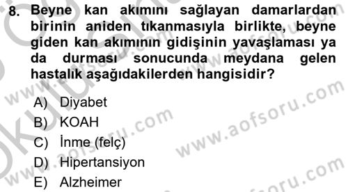 Evde Yaşlı Bakım Hizmetleri Dersi 2018 - 2019 Yılı Yaz Okulu Sınav Soruları 8. Soru