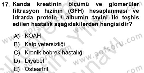 Evde Yaşlı Bakım Hizmetleri Dersi 2021 - 2022 Yılı (Vize) Ara Sınav Soruları 17. Soru