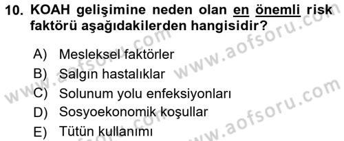 Evde Yaşlı Bakım Hizmetleri Dersi 2021 - 2022 Yılı (Final) Dönem Sonu Sınav Soruları 10. Soru