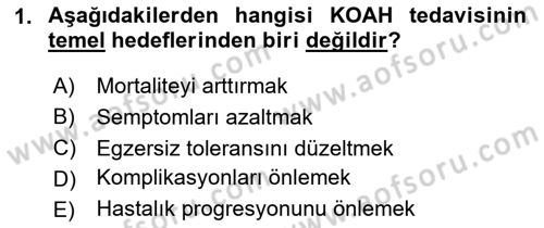 Evde Yaşlı Bakım Hizmetleri Dersi 2023 - 2024 Yılı (Vize) Ara Sınav Soruları 1. Soru